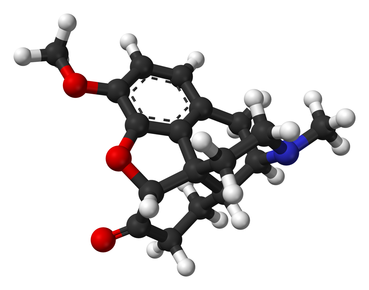 Hydrocodone