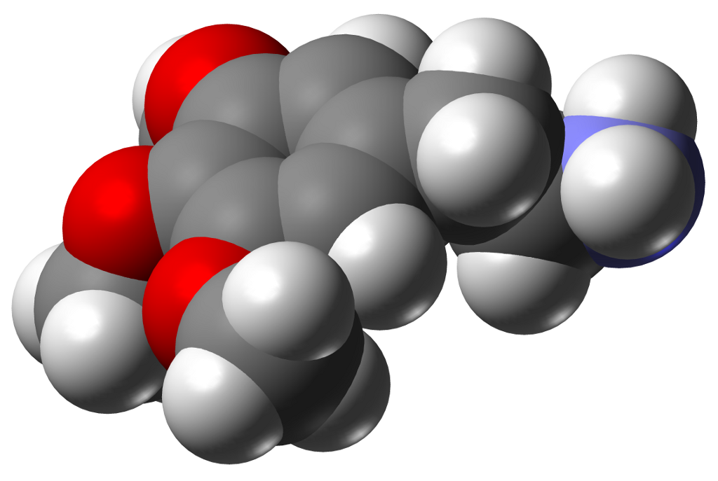 Mescaline