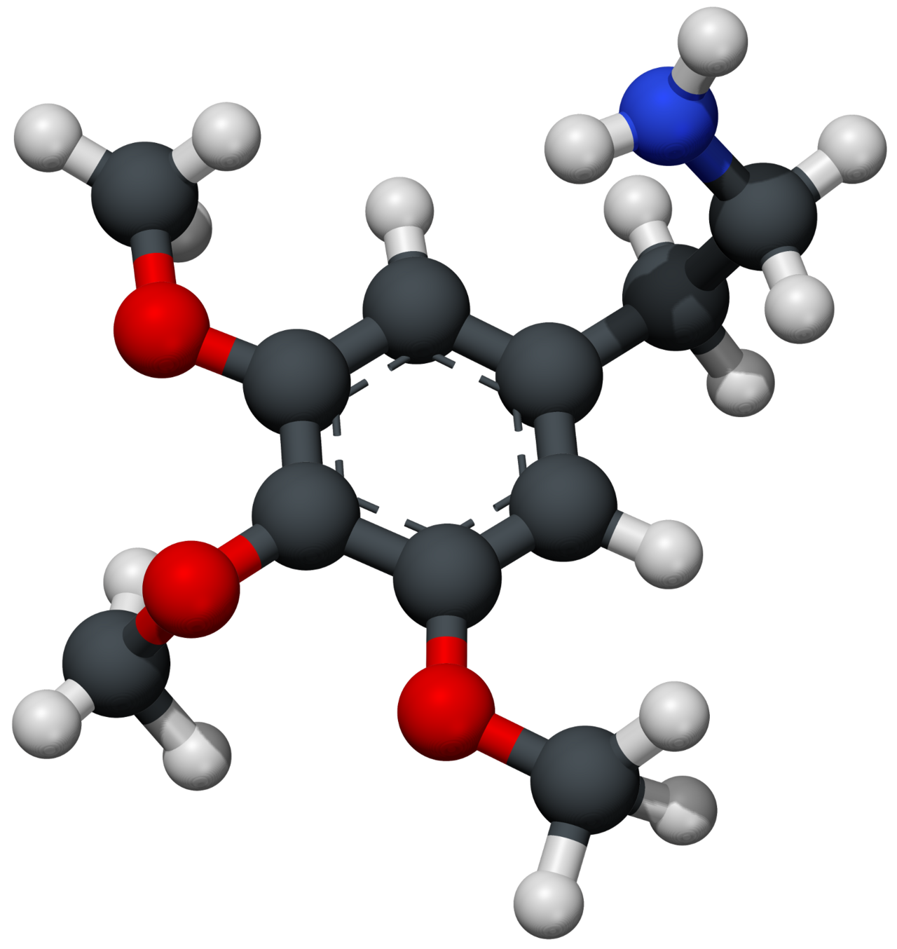Mescaline