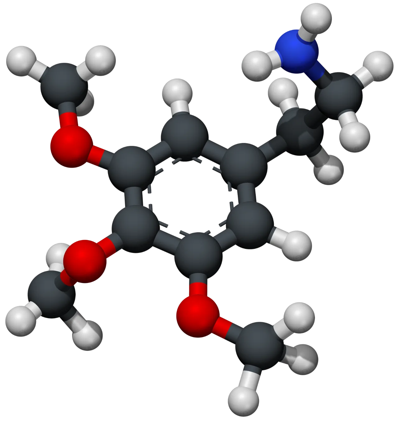 Mescaline